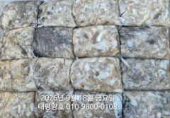 ★★ 9 / 18 [군산 대일피싱] 태평양호 쭈꾸미 망태기 초보자 11분 대박조황