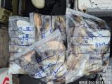 9월18일 해복호 쭈갑조황