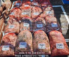 9월18일 무창포뉴아폴로호 대박 쭈꾸미망태기조황
