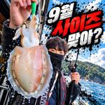 [팀바이트호] 9월18일 갑오징어 낚시
