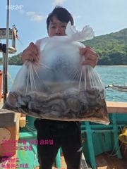 9월18일 팀보스선단 문어 대박조황