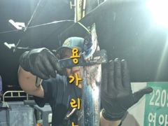 2시간전 [사천] 삼천포덕성호 돌문어 출조 예약 받습니다.(2026년 9월 18일 조황사항)