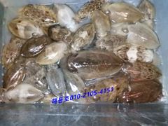 26년9월18일 조황