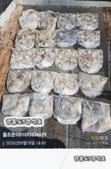 9월18일쭈&갑출조
