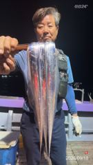 명동항 해성골드1호 갈치 조황 사진