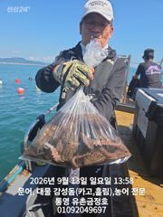 통영 금정호 문어선상 주말 정상출항합니다 자리여유있어요^^