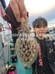 내만 갈치 씨알이가 굿입니다~~(오늘부터 예약 가능)