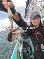 18일,군산쭈꾸미~좋은물때~잘나오고 있는 쭈꾸미~~실시간~~군산낚시프라자 나드리호