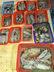 구산면원더풀호. 무느팁런
