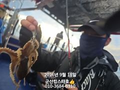 ■군산킹스타호(9/18)■쭈꾸미 잘 나와주고 있는 실시간~(계속해서 출조~)~