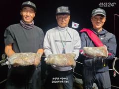 야간문어 엄청나게 나옵니다! 일요일야간부터 자리여유