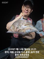 [통영] 통영 금정호 문어선상 주말 정상출항합니다 자리여유있어요~^^