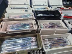 경동호 먼바다왕갈치외줄16석 ~만쿨호조항~21일월화수쭉예야가능