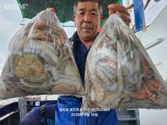 18일(금) 삼천포 돌문어조황입니다!! 월요일부터는 주꾸미~~