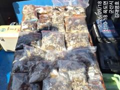 ★★김대영호★★쭈갑 조황!!(9/18)