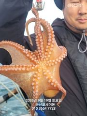 9월18일-초대박난 주간문어 조황