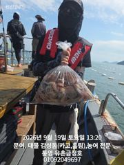통영 금정호 오전문어선상 드디어 마릿수 싸이즈 좋아집니다!! 내일 오전 자리여유있어요