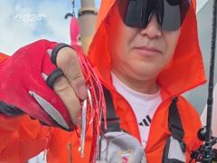 여수돌문어