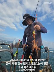통영 금정호 오후 문어도 재미나게 시작합니다 내일 오전 자리있어요~~