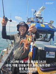 통영 금정호 오후 문어도 재미나게 시작합니다 내일 오전 자리있어…
