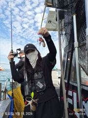 9월 19일 쭈꾸미 조항