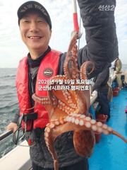 19일, 문어,문어,문어, 무쟈게 나옵니다.......덩치급 문어들,망탱이 굿굿조황~군산낚시프라자 챔피언호