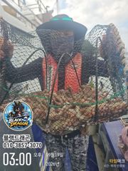 [사천] 삼천포 돌문어 훌륭합니다 ~~(월욜 갑오징어)