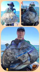 [무창포 플러스호] 9월 19일 사이즈 좋은 왕쭈꾸미낚시 260마리, 8.3.kg 대박조황 . 예약문의 010-3304-7556