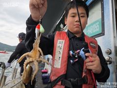 사천피싱스타 주꾸미 조황입니다 마리수 엄청 많이 나오네요