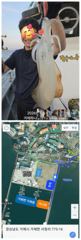 ( 거제하나호 )무늬오징어.