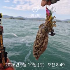 [사천] 유신호 갑오징어 첫 출조!