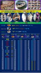 [고흥,녹동] 괴물급 5짜 붉바리들 퍼레이드 이정도는 잡아봐야지요 초대박 붉바…