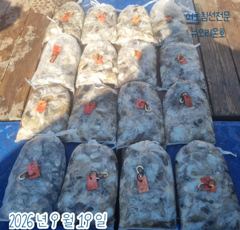 작성일 17:06 작성자 최고관리자