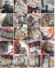 ♡9월19일 여수야호 쭈꾸미 초대박 #추석정상출항 #자리여유