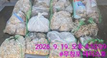 먹물조황 글만 보기
