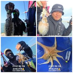 ■군산킹스타호(9/19)■ 쭈꾸미 굿~마무리(계속해서 출조합니다