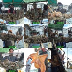 [진해] 9/18일 세 자릿수 대박 조황! 전체 150수 이상 우당탕 제…