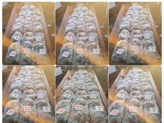 <발키리호> 쭈꾸미 오후 마무리 조황(19일)-즐낚하고 입항했습니다~!