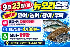 <하나호> 쭈꾸미 오후 마무리 굿 조황(19일)-쭈꾸미 잘나옵니다~!