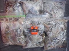 [여수,광양] 19일 최저가대왕쭈 초대박 왕쭈장원122수..눈꾸미는사절 계속출…