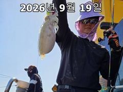 26년 9월 19일!! 인천 썬스타호!! 쭈꾸미 대첩 19일차 조황입니다~^.^