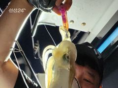 무늬팁런 바람 파도속 몬스터와 마릿수
