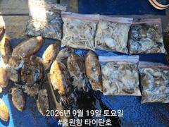 [홍원항타이탄호] 9월19일(토) 쭈꾸미,갑오징어 조황입니다.
