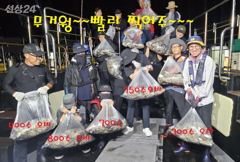 2026년9월19일(무시) 까치선장 자이언트호 쭈/갑 대박 (바닥) 조황