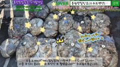 9월19일 홍원항힐링호 초~대박 쭈꾸미 망테기 조황~!어제보다 좀더 잡았네요 ㅋㅋ 하루 할당량 오바 ^.^ 장원10kg오바~ 2등7kg 수고많으셨습니다~