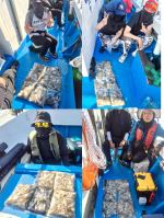 [쭈꾸미] 9/19_돌고래호조황@@@