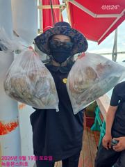 녹동항 녹동몬스터호 돌문어 조황 사진