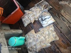 9월 19일 쭈갑출조 조황