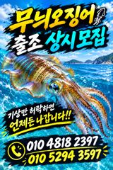 무늬오징어 팁런 모집중