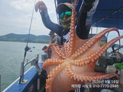 [진해] "여밭돌문어"1200gKKK 180수~ 개인22수18수15수13…